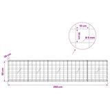 Gabion with 5 mm Wire and 10x10 cm Mesh 250x20x50 cm 3464999