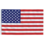 US Flag and Pole 5.55 m Aluminium 3147141