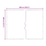 Tarpaulin with Eyelets Transparent 4 x 6 m Polyethylene 3429279