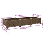 ZNTS Raised Bed 120x40x23 cm Polypropylene 316513