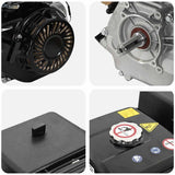 Petrol Engine 15 HP 11 kW Black 141247