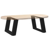 Coffee Table Legs U-Shaped 2 pcs Black 40x cm Steel 4012740