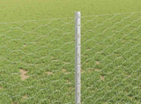Welded Wire Fence 50 x 1 m Hot-Dip Galvanised Steel 3337037