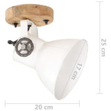 Industrial Wall/Ceiling Lamps 2 pcs White 20x25 cm E27 320519