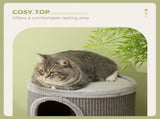 Cat Climbing Frame, Covered with Sisal, Cosy Platform - Light Grey T3398P349910