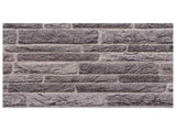 Wall Panels 10 pcs 100 x 50 cm Anthracite EPS Foam 42046105