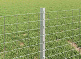 Welded Wire Fence 50 x 0.4 m Hot-Dip Galvanised Steel 3336206