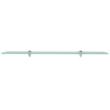 Floating Shelves 2 pcs Glass 100x20 cm 8 mm 3051525