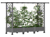 Raised Bed with Trellis and Roof Light Grey 164 x 40 x 127 cm 3423115