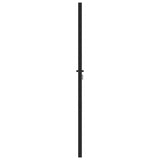Garden Gate Lockable Black 100x200 cm Aluminium 42004150