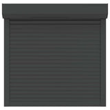 Roller Shutter Aluminium 100x100 cm Anthracite 144978