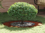 suitable for Flat Tree Rings 5 pcs Rusty 50/80 cm 873703