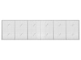 Gabion with 5 mm Wire and 5x5 cm Mesh 300x20x100 cm 3464064