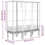 ZNTS Raised Bed with Greenhouse Cover Rattan Look 120x40x140 cm 4015834