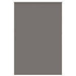 ZNTS Roller Blind Blackout Grey 160x230 cm Fabric Width 156.6 cm Polyester 4011218