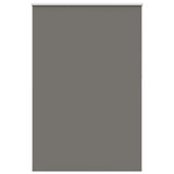 ZNTS Roller Blind Blackout Grey 160x230 cm Fabric Width 156.6 cm Polyester 4011218