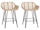 Bar Chair 2 pcs 55 x 52 x 92 cm Rattan and Iron 42011552