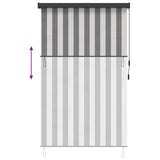 Roller Blind Anthracite and White 60 x 250 cm 42037170