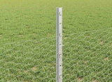 Welded Wire Fence 50 x 0.5 m Hot-Dip Galvanised Steel 3337023
