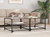 Coffee Tables with Transparent Glass Top 2 pcs 50x50x45 cm Steel 846007