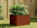 Planter 40x41x40 cm Corten Steel 824518