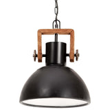 Industrial Hanging Lamp 25 W Black Round 30 cm E27 320536