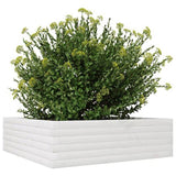 Garden Planter White 80x80x23 cm Solid Wood Pine 847199