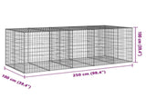 Gabion Basket with Cover 250x100x100 cm Galvanised Iron 3295193