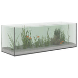 Aquarium with Storage Transparent 60 x 20 x 20 cm Glass 42020383