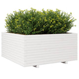 Garden Planter White 100x100x49.5 cm Solid Wood Pine 3282540