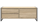 TV Cabinet Sonoma 100 x 36 x 49.5 cm Engineered Wood 886619
