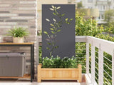 Garden Privacy Screen Anthracite 50 x 140 cm Cold-rolled steel 876324