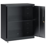 ZNTS File Cabinet Anthracite 79x40x90 cm Steel 339735