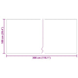 Carpet Runner Light Grey 100 x 300 cm Fabric 42011437