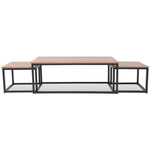 ZNTS Coffee Table Set 3 Pieces Ash 245189