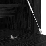 Shoe Cabinet Black oak 100 x 35 x 38 cm Engineered wood 881020