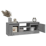 TV Cabinet with Door Grey Sonoma 102x30x36 cm 823356