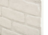 Wall Panels 10 pcs White 100 x 50 cm EPS Foam 332927