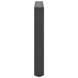 Coffee Table Legs Anthracite 2 pcs 60x cm Steel 4013286