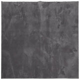 Rug HUARTE Short Pile Soft and Washable Anthracite 200x200 cm 375004