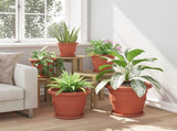 Plant Pots 6 pcs Brick Red 34 x 28 cm Plastic 3403273