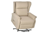 Power Lift Recliner Armchair, Electric Lift Chair for Elderly, Fabric Riser and Reclining Chair with T3398P328089