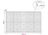Gabion with 5 mm Wire and 10x10 cm Mesh 250x20x200 cm 3465071