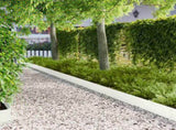 Lawn Edging 10 pcs 103 x 20 cm metal White 8008269