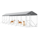 Outdoor Dog Kennel with Roof Silver 2x14x2.5 m Galvanised Steel 3190485