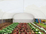 19.5 x 9.8ft Tunnel Greenhouse, with Accessories - White T3398P319954