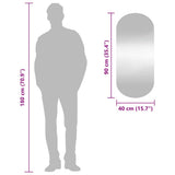 Wall Mirror Transparent Glass Medium Wall mounting Wall Mirror 350457