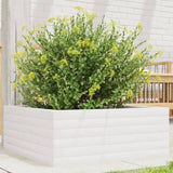 Garden Planter White 60x60x23 cm Solid Wood Pine 847189