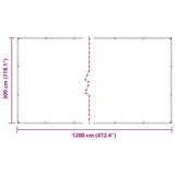 Plant Cover 3 x 12 m PVC Transparent 3429350