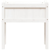 Garden Planter with Legs White 70x31x70 cm Solid Wood Pine 837556